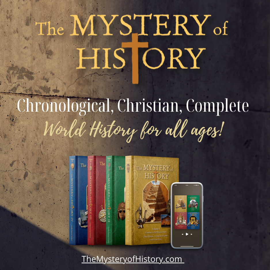 The Mystery of History